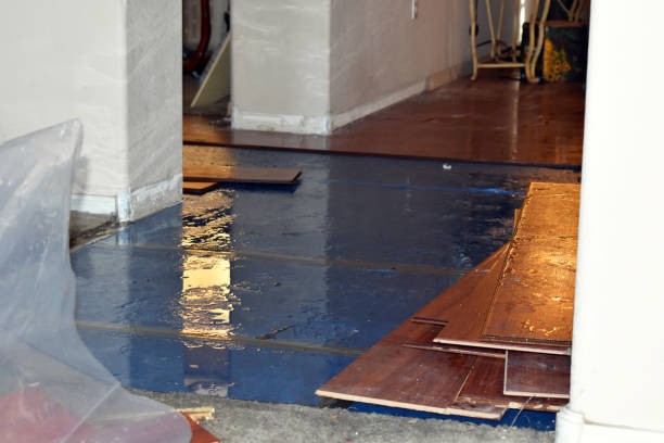 Professional Basement Water Removal technician working in Somerset, TX